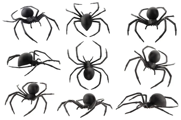 Ψεύτικο Παιχνίδι Αράχνη Καουτσούκ Απομονώνονται Λευκό Φόντο — Φωτογραφία Αρχείου