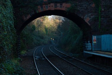 Railroad and Train Tunnel, Old tracks through a tunnel, Railroad tracks with a junction on the front