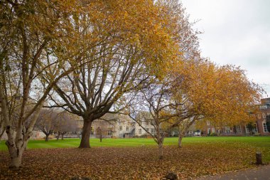 sonbahar exeter quay devon İngiltere İngiltere'de Avrupa