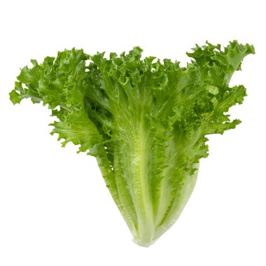 Fresh Frillice Iceberg Lettuce isolated on a white background