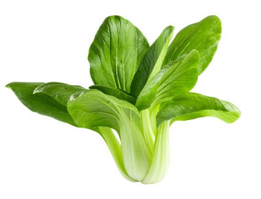 Taze yeşil Çin lahanası, bok choy, pok choi veya pak choi, beyaz arka planda izole edilmiş.