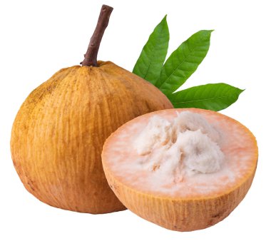 Santol meyve ve santol (meliaceae) beyaz arka planda izole edilmiştir.