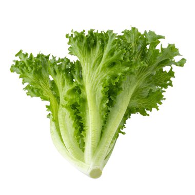 Fresh Frillice Iceberg Lettuce isolated on a white background