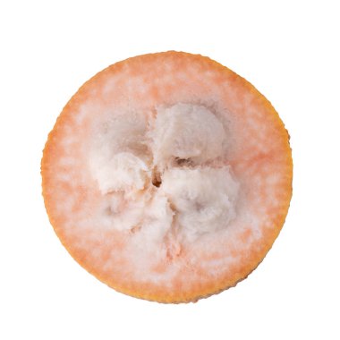 Santol meyve ve santol (meliaceae) beyaz arka planda izole edilmiştir