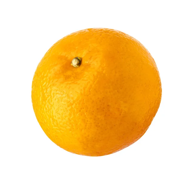 新鲜的橙子 以白色为底色 — 图库照片