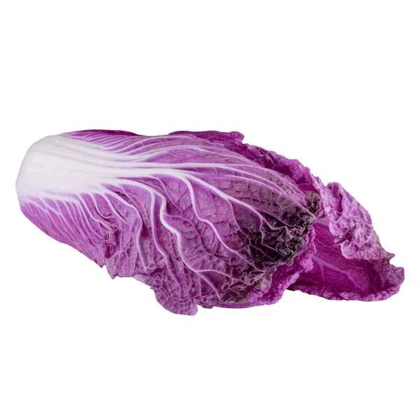 Repollo Chino Púrpura Aislado Sobre Fondo Blanco —  Fotos de Stock
