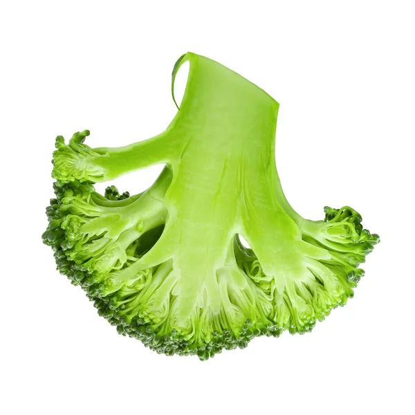 Frische Brokkoli Blöcke Zum Kochen Isoliert Auf Weißem Hintergrund — Stockfoto