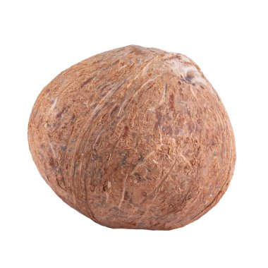 Hindistan cevizi beyaz bir arkaplanda izole edildi