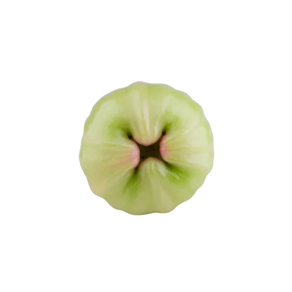 Green Rose Apple Isolated White Background — Stock fotografie