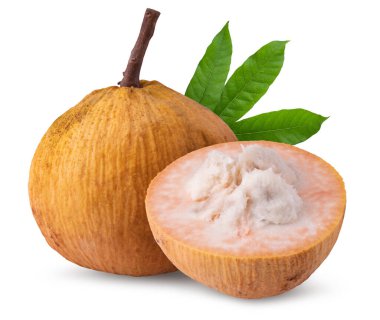 Santol meyve ve santol (meliaceae) beyaz arka planda izole edilmiştir.