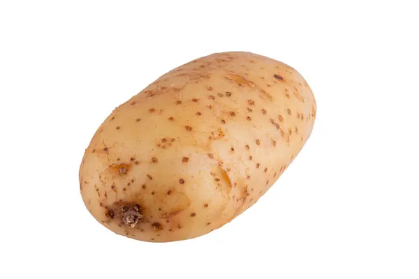 Raw Potatoes Isolated White Background — Stock Photo, Image