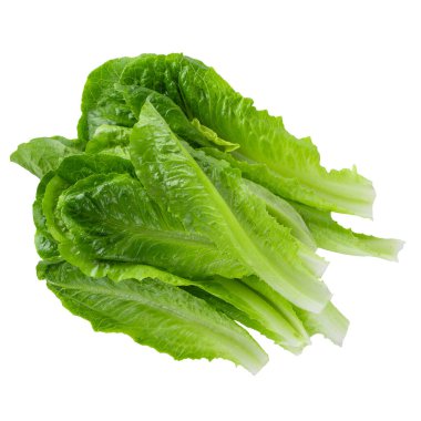 Çünkü Beyaz Arkaplanda Marul İzole Edildi.