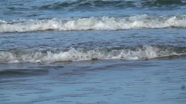 砂浜で波が砕けるスローモーション — ストック動画