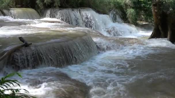 Mouvement lent de la belle cascade claire de cascade dans la forêt tropicale humide, chutes de Kuang Si à Luang Prabang, Laos