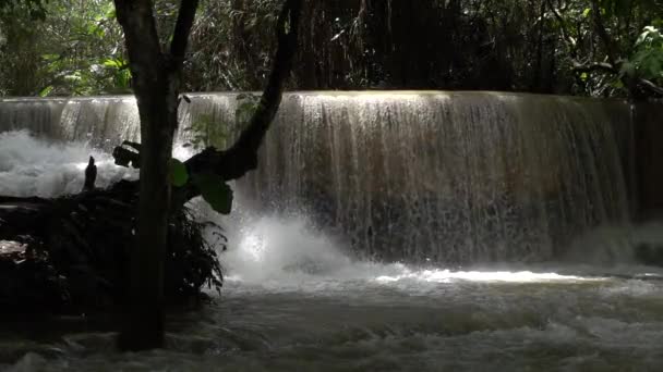Movimiento Lento Cascada Hermosa Cascada Clara Selva Tropical Kuang Falls — Vídeo de stock