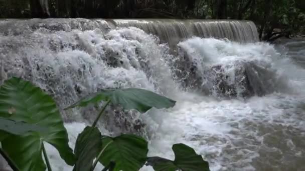 Повільний Рух Красивого Чистого Водоспаду Каскад Тропічних Тропічних Дощових Лісах — стокове відео