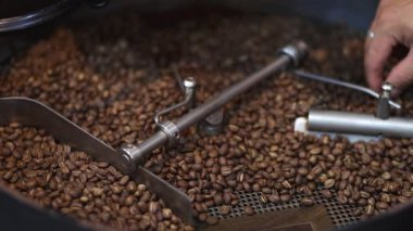 Kızarma işlemi sırasında kahve çekirdekleri, taze kavrulmuş koyu kahverengi Arabika kahve çekirdekleri soğuyor ve endüstriyel kahve kızartma makinesini çalıştırıyor.