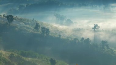 Sis ve sisle gün doğumu Kuzey Tayland 'daki sisli sabah dağları.