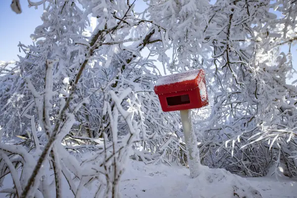 The trees and red postal box are covered with a snow layer and the sky is blue. Fairy tale landscape.