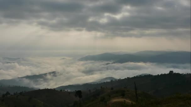 안개로 둘러싸인 계곡에서 새벽에 둘러싼 구름의 — 비디오