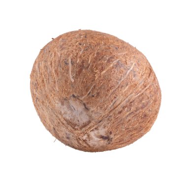 Hindistan cevizi beyaz bir arkaplanda izole edildi