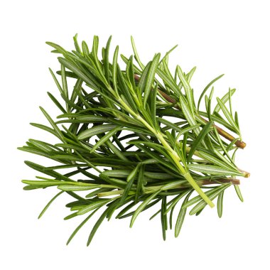 Biberiye yaprağı bitkisi şeffaf bir arka planda izole edilmiş baharatlardır.