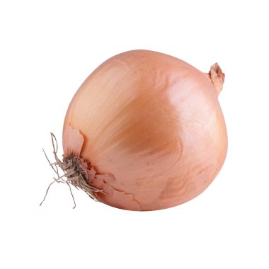Beyaz arkaplanda izole edilmiş taze soğan soğanları