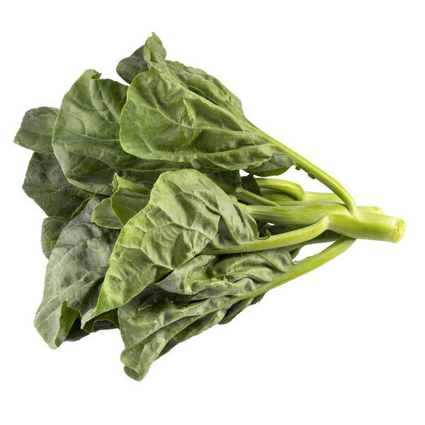chinese broccoli isolent on a white background