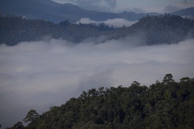 Sabahın erken saatlerinde. Dağların ve ormanın üzerinde sisli bir günde renkli bir gün doğumu.