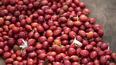 Taze kırmızı kahve, kırmızı vişneli kahve. 