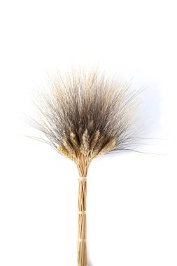 Altın buğday kümesi, beyaz arka planda izole edilmiş bu sağlıklı tahıl sapını takip eder.