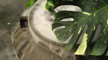 Sis makinesinin yaptığı su yüzeyindeki küçük fıskiye ve sis dumanı, bahçe dekorasyonu için dekore ediliyor.