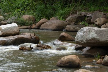 Kristal gibi berrak şelale yumuşak taşların üzerinde dans eder, yemyeşil doğada canlı bir duvar halısı örer.