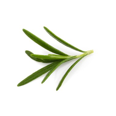 Biberiye yaprağı bitkisi beyaz arka planda izole edilmiş baharatlardır..