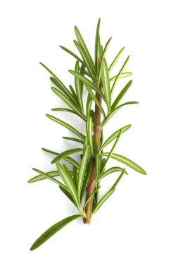 Biberiye yaprağı bitkisi beyaz arka planda izole edilmiş baharatlardır..