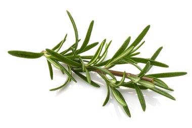 Biberiye yaprağı bitkisi beyaz arka planda izole edilmiş baharatlardır..