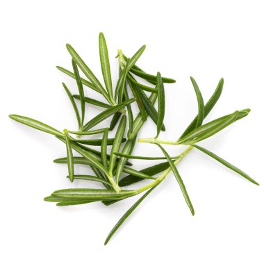 Biberiye yaprağı bitkisi beyaz arka planda izole edilmiş baharatlardır..