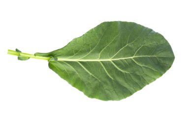 Kale beyaz arkaplanda izole bir şekilde bırakır.