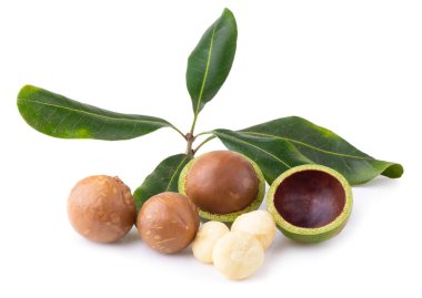 Macadamia nuts isolated on a white background. clipart