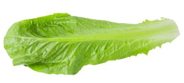 Çünkü Beyaz Arkaplanda Marul İzole Edildi.