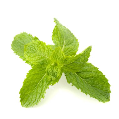 Beyaz bir arka plan üzerinde izole taze nane yaprağı