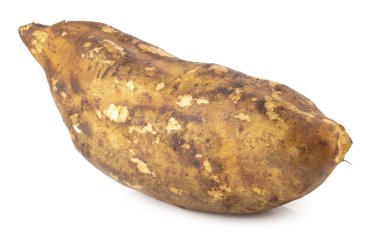 Yacon kökleri beyaz bir arkaplanda izole