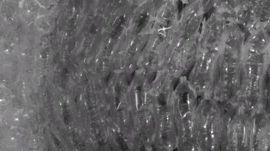 Boş plastik su şişeleri, geri dönüştürülmüş temiz plastik şişeler ve geri dönüşüm için bir grup plastik su şişesi..
