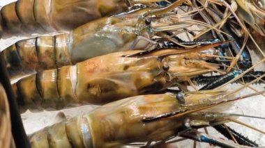 Taze dev nehir karidesleri ya da dev tatlı su karidesleri. Bangkok, Tayland 'da sokak yemekleri