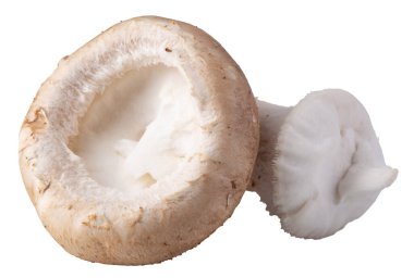 Beyaz arka planda izole edilmiş Shiitake mantarları..