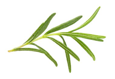 Beyaz arkaplanda izole edilmiş taze biberiye.