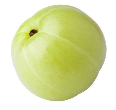 Emblik ya da Hint bektaşi üzümü yaprakları beyaz arka planda izole edilmiş.