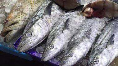 Çeşitli deniz balığı türleri bir deniz ürünleri pazarında buzla satılığa çıkarılır.