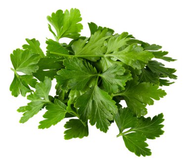 Beyaz arkaplanda maydanoz yaprakları