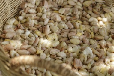 Mayalanmadan önce kabuklardan taze kakao çekirdekleri çıkarılmış..
